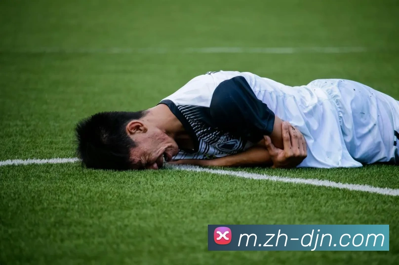 体育直播服务